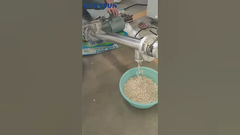 نوار نقاله پیچ، لوبیا سفید را منتقل می‌کند#نوار نقاله